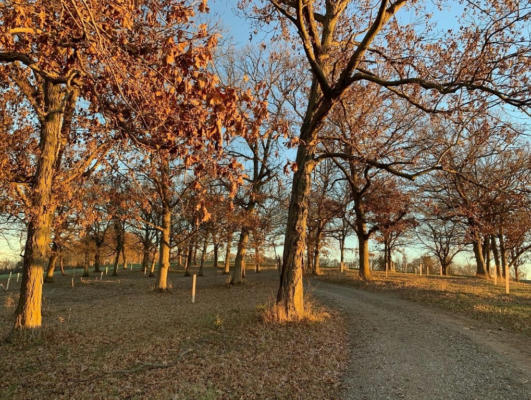 LOT 28 VISTA DR, KALONA, IA 52247, photo 3 of 16